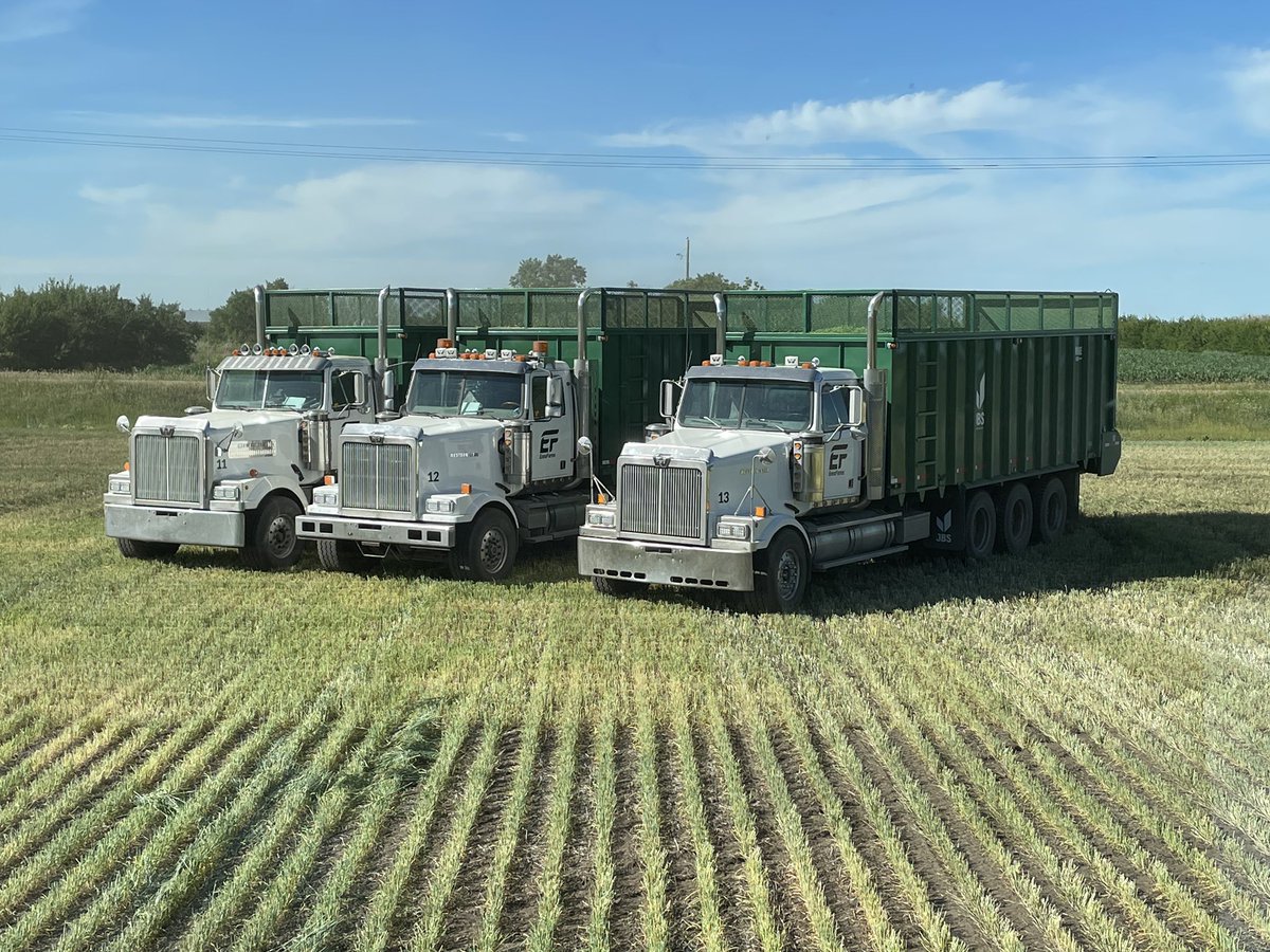 jbs_equipment's tweet photo. Enns farms of Osler Saskatchewan is enjoying their second set of JBS Forage boxes! 👍
Thank you for the continued business!
#jbsequipment #workproud #thefieldsthelimit #foragebox #forage #ducksinarow #ennsfarm https://t.co/ND81uqJcAo
