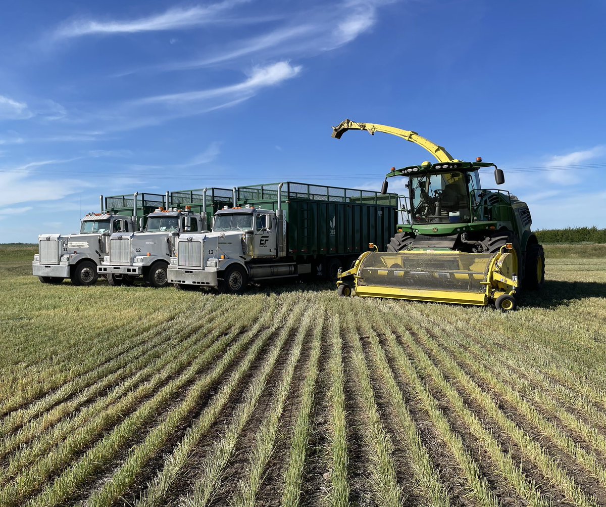 jbs_equipment's tweet photo. Enns farms of Osler Saskatchewan is enjoying their second set of JBS Forage boxes! 👍
Thank you for the continued business!
#jbsequipment #workproud #thefieldsthelimit #foragebox #forage #ducksinarow #ennsfarm https://t.co/ND81uqJcAo