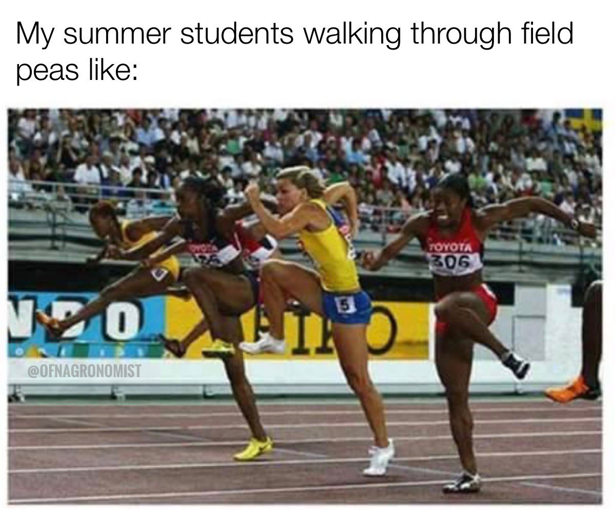 It’s getting tough out there 😅 #hurdleswithouthurdles #summerolympics #agolympics