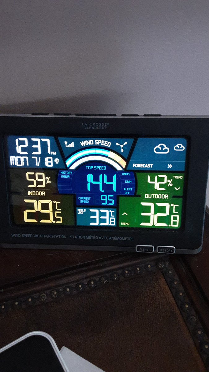 CaseyFerguson12's tweet photo. 33°Celsius is very warm. Too warm. POOL DAY for me. https://t.co/WEc0YIiwYl