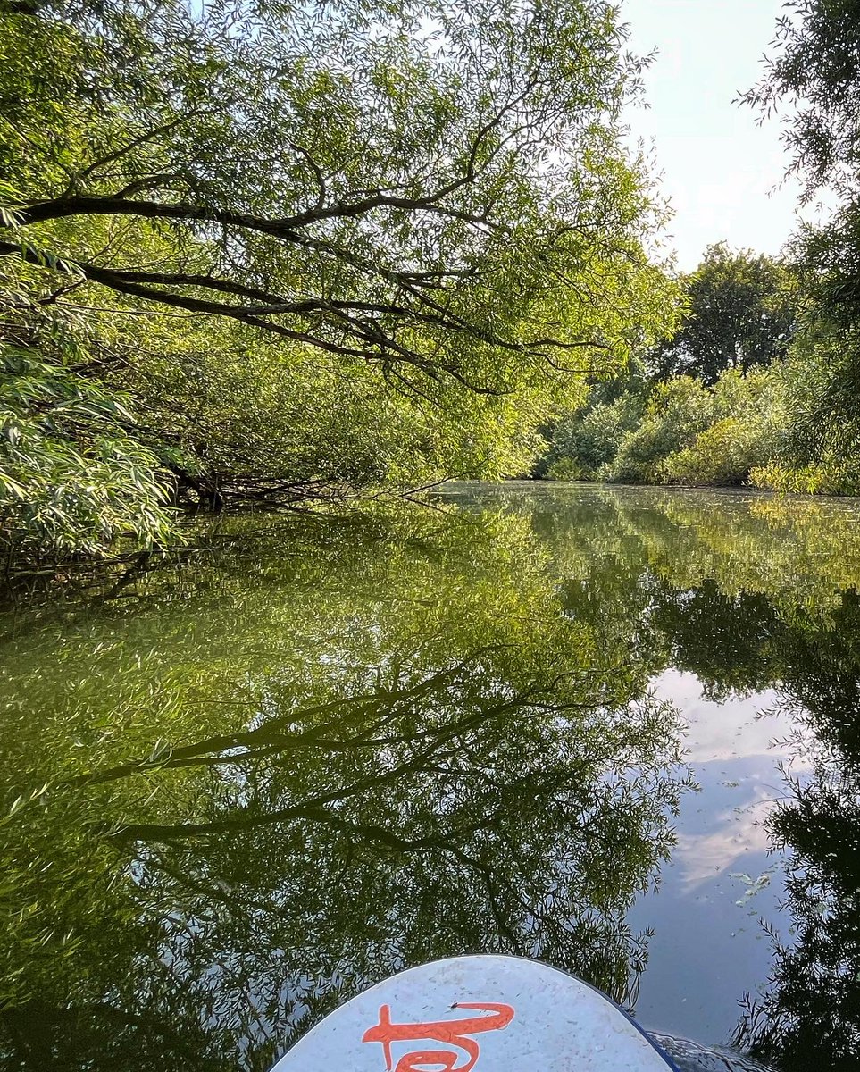 PhoebeRSmith's tweet photo. After hours spent working in a darkened room, while #WanderBoy enjoyed A/C at nursery, I decided a cool down was in order… hope you managed to find a way to chill out today too… #wanderwoman #sup #outdoorswimming #river #riverlife #thames #heatwave https://t.co/cko5ci7I5c