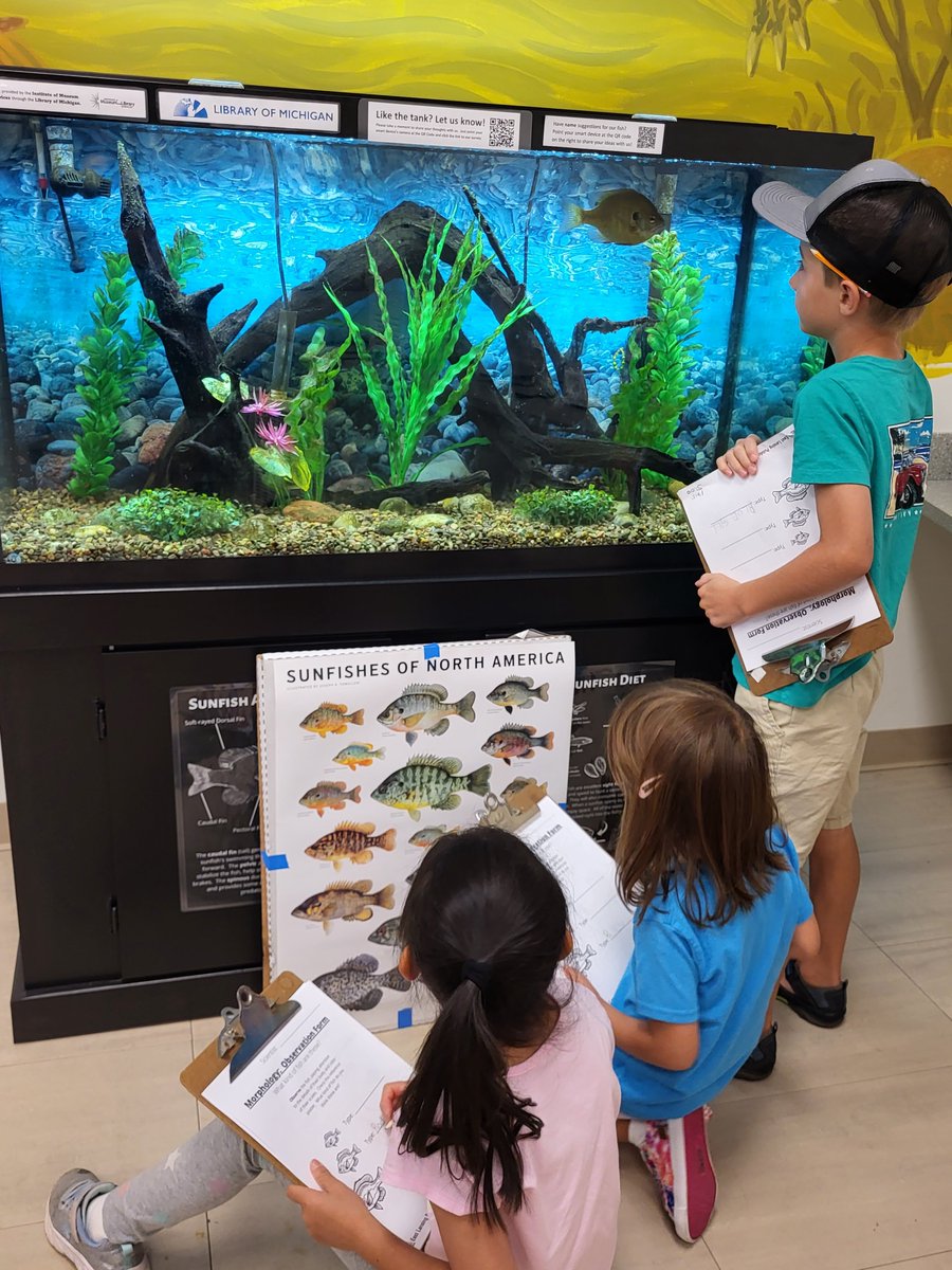 elplibrary's tweet photo. Last week we had the first sessions of our new Nature Club program! Here you can see some of our young scientists practicing their observational skills as they try to identify the fish in our native fish tank. #NativeFishTank #Sunfish (1/5) https://t.co/ssB3HfziOy