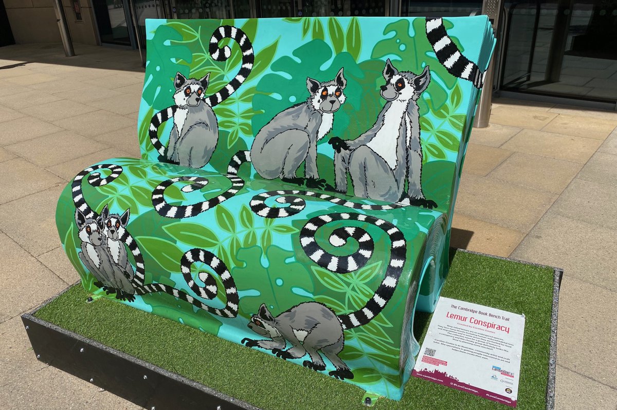 Olivier Langrand tweet media