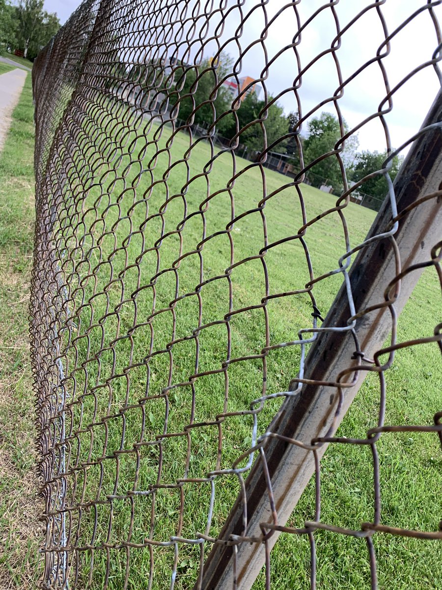 Jackie Seidel, PhD tweet media