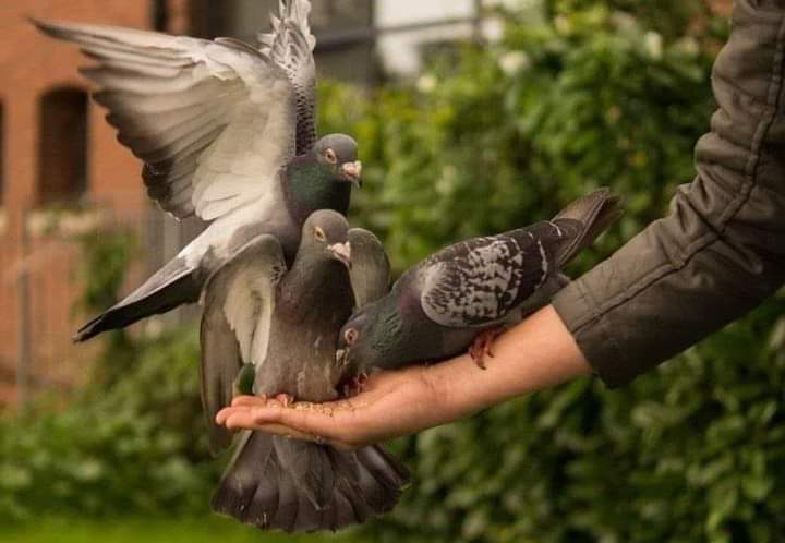 احمدالله انه الهمك وسخرك لصنع المعروف