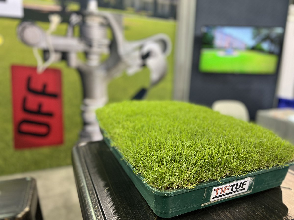 Water conservation in your landscape?…TifTuf Bermudagrass is the answer. #WaterMatters