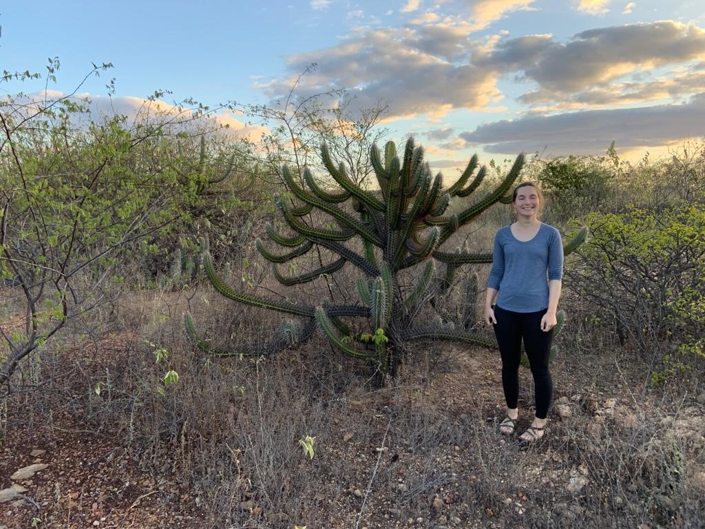 EoCdt's tweet image. SENSE student @lucyhelenwells2 recently visited Brazil as part of her PhD project on using #earthobservation to investigate vegetation in the dry tropics. Find out what she got up to here -&amp;gt; eo-cdt.org/investigating-… 🪴🇧🇷🌱🌳