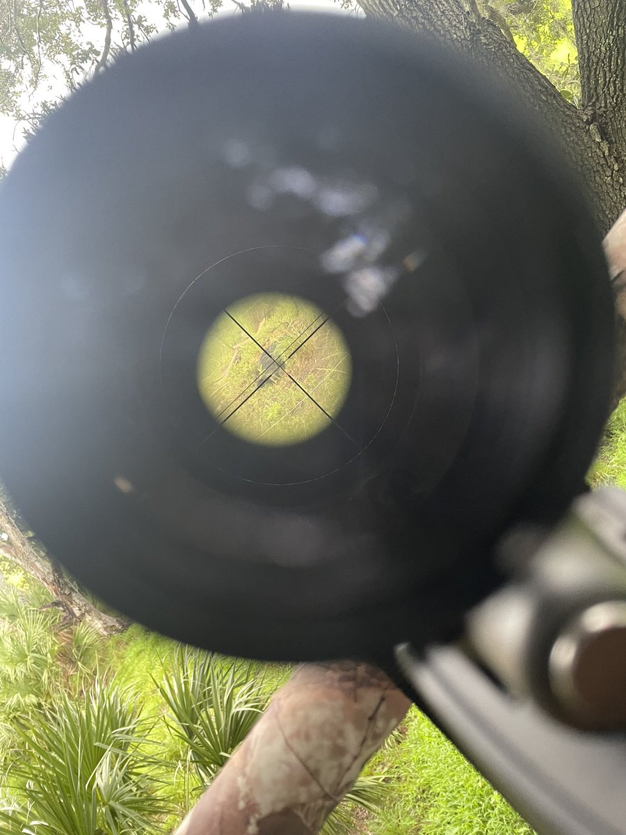 Sauce-K : Eternal Rizzengan Jutsu tweet media