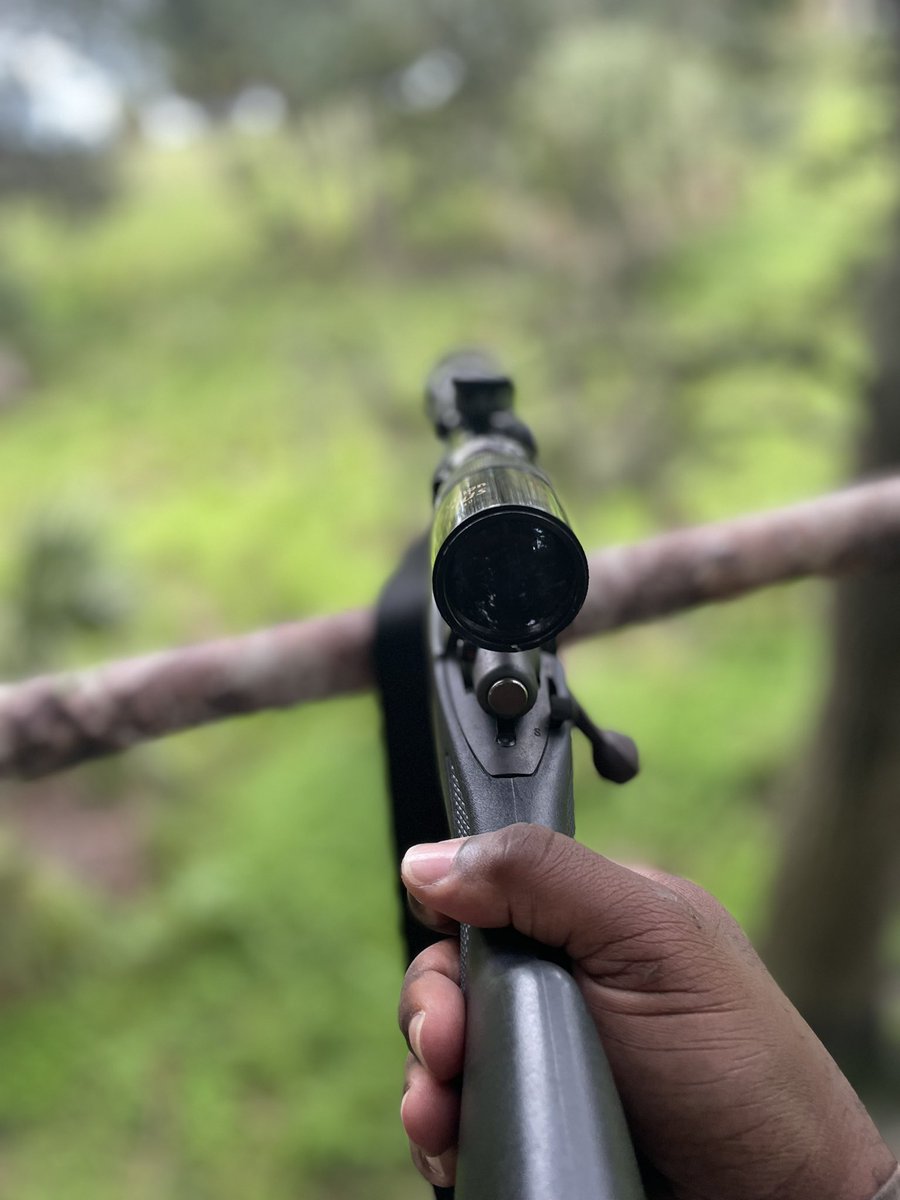 Sauce-K : Eternal Rizzengan Jutsu tweet media