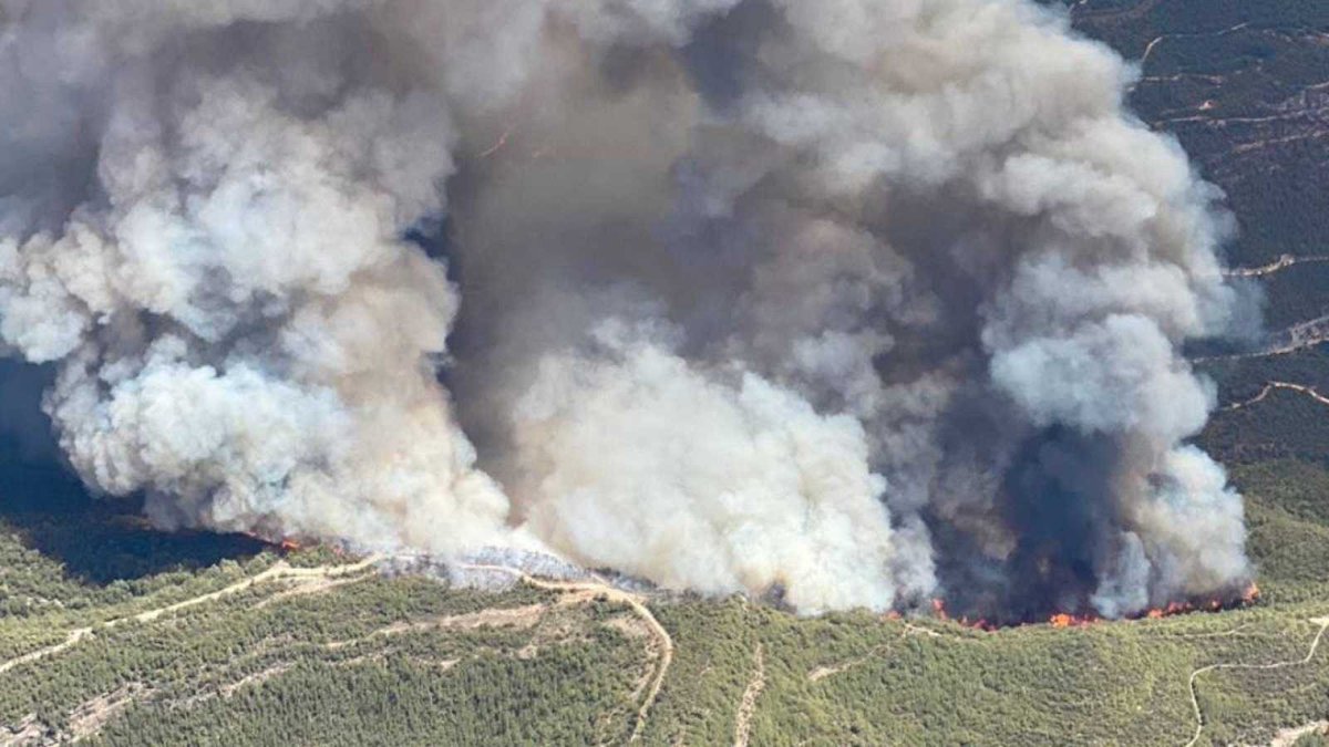 Vivim en un país mediterrani, calorós i sec, on es donen molts incendis, per causes naturals, imprudències o focs provocats.
Partint d’aquesta premissa, tenim el país preparat per fer front als #incendisforestals?
Quan el foc comença, troba obstacles o acceleradors?
🧵⤵️