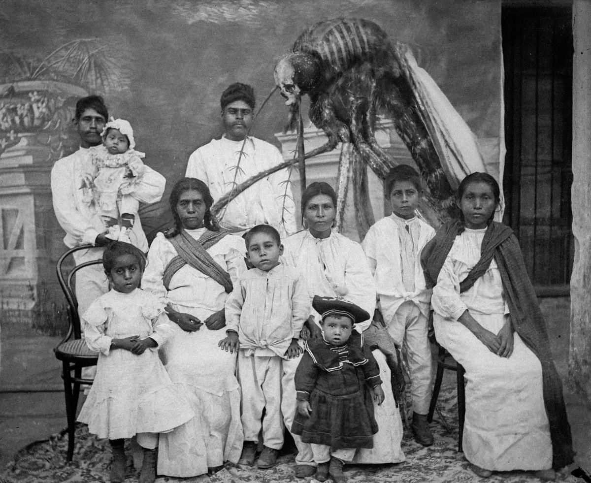 Last surviving photographs from the secretive De La Cruz family. Mexico, 1910s-20s.
The following documents were smuggled out by Adrián de la Cruz, a disowned relative. According to him, the thing in the photo is who the family called 'Tío Alfredo'.