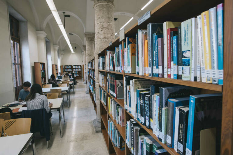 faplousdi's tweet photo. Guardianas de la memoria colectiva… y más: todo lo que tu #biblioteca ofrece sobre cultura popular https://t.co/8BezAwbkOu en @culturplaza #cultura #memorialocal #Fondolocal https://t.co/IgrkIfM0PB