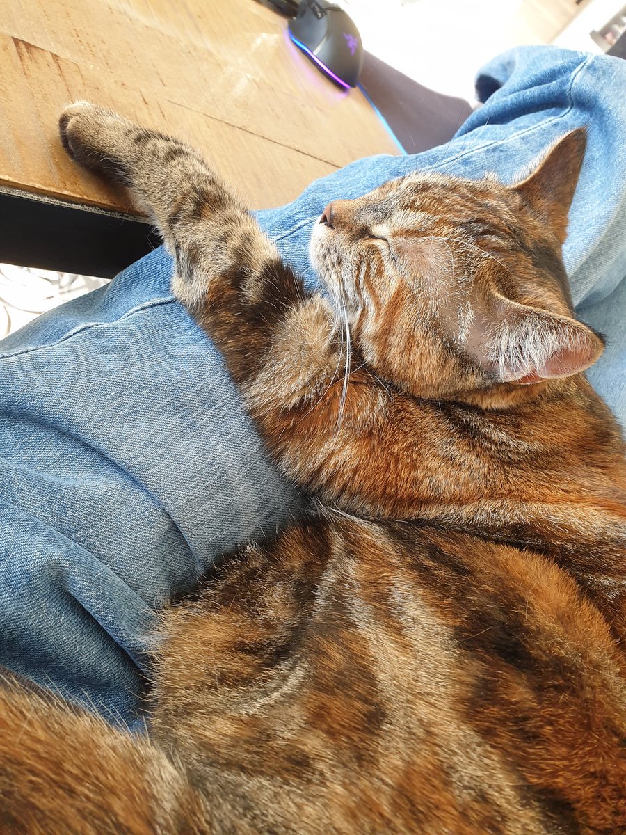 simplement_julien tweet media