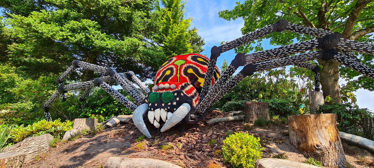 andkohler's tweet photo. @ons_safa How about a big spooder 🤣 https://t.co/y5t2QzpJcN