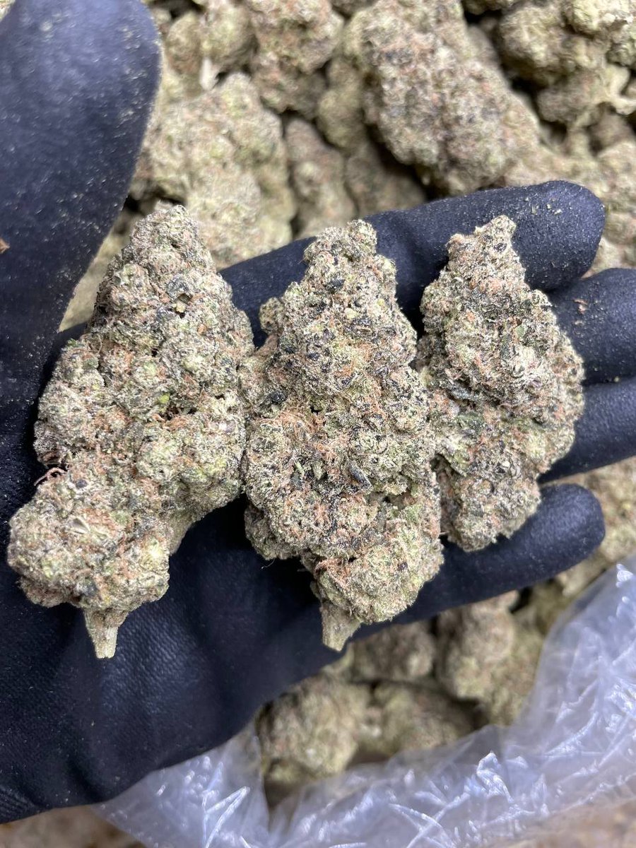 WORLDWIDEBPTC's tweet photo. Peruvian mints. https://t.co/r7IKJOxMtR