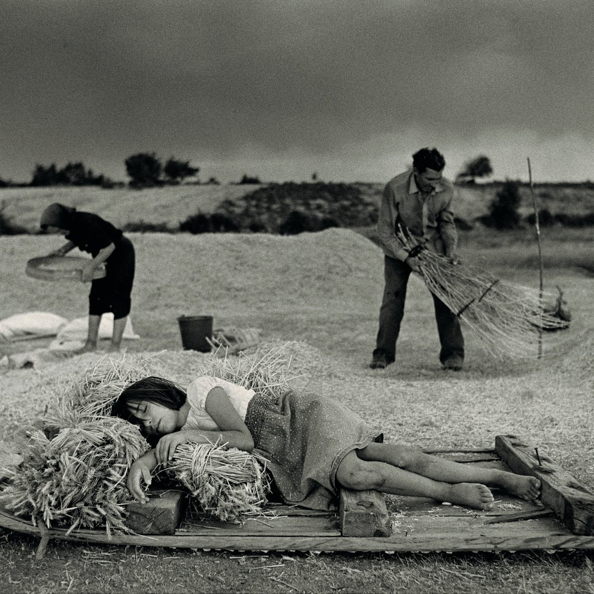 Escober #Zamora Imagen de #CristinaGRodero "En riesgo real de convertirse en despoblado si las instituciones públicas... (Wkpdia)" Hoy el fuego ha matado un pastor en #Escober #Tábara In memoriam de este pastor de #Losacio cuyo nombre aún no he encontrado escrito en ningún medio