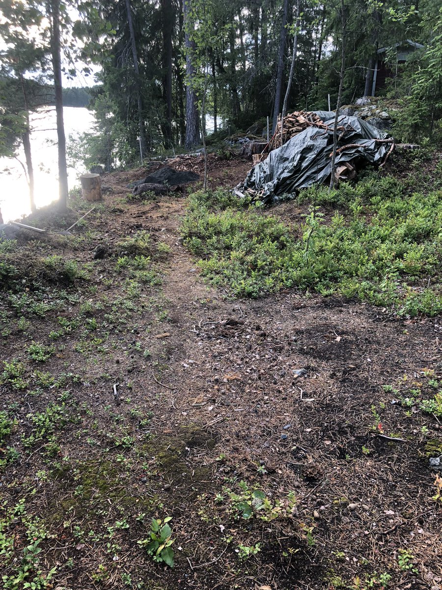 TuijaVirtanen's tweet photo. Tuohon kuvituhkakasan kohdalle tulee nuotiopaikka 🔥👍
Kunhan ensin kannetaan ämpäreillä vielä pari kertaa tuon verran kivituhkaa ja sen jälkeen käsipelillä 1200 kg liuskekiviä 💪 #mökillä #bootcamp247 #porrastreeni #ihampihalla #visittammela #särkijärvi https://t.co/ZqbBBGHIfM