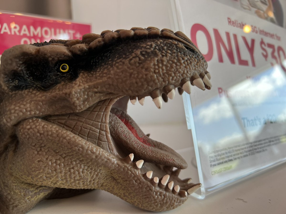 Lita Cabrera tweet media