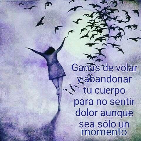 Marina 💜 tweet media