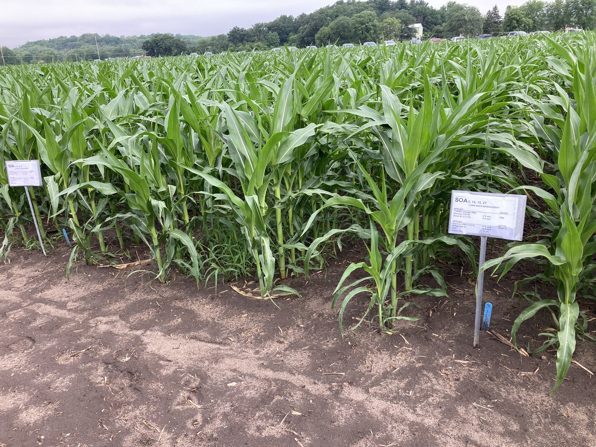 KatieWinslow7's tweet photo. Spent today at the @UMNExt Weed Management field day in Rochester. Interesting to see the many trials and ongoing research. Looking forward to seeing the results this fall! #UMNExt #Research #CropProduction #Spray22 https://t.co/jmuSbyM1UG