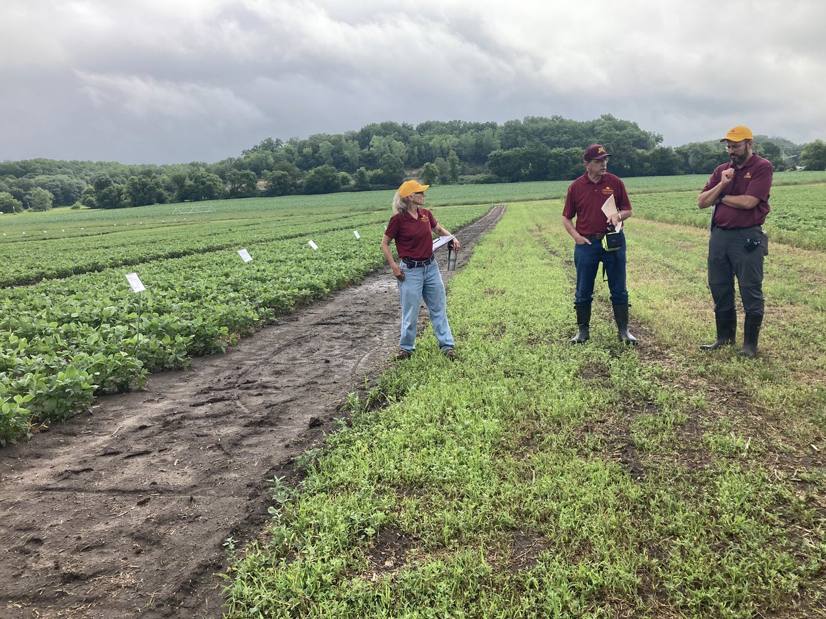 KatieWinslow7's tweet photo. Spent today at the @UMNExt Weed Management field day in Rochester. Interesting to see the many trials and ongoing research. Looking forward to seeing the results this fall! #UMNExt #Research #CropProduction #Spray22 https://t.co/jmuSbyM1UG
