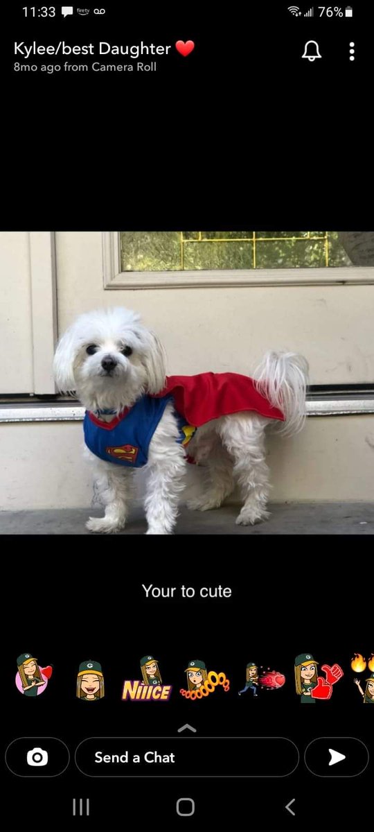 Sporting031's tweet photo. We lost this little guy at 8am this morning.We are all brokenhearted. He passed in his sleep. He was dealing with underlying issues but peacefully passed sleeping at the foot of our bed in his favorite place to rest. Love you Bumble. Our little Superman! https://t.co/7cHKibtsDt
