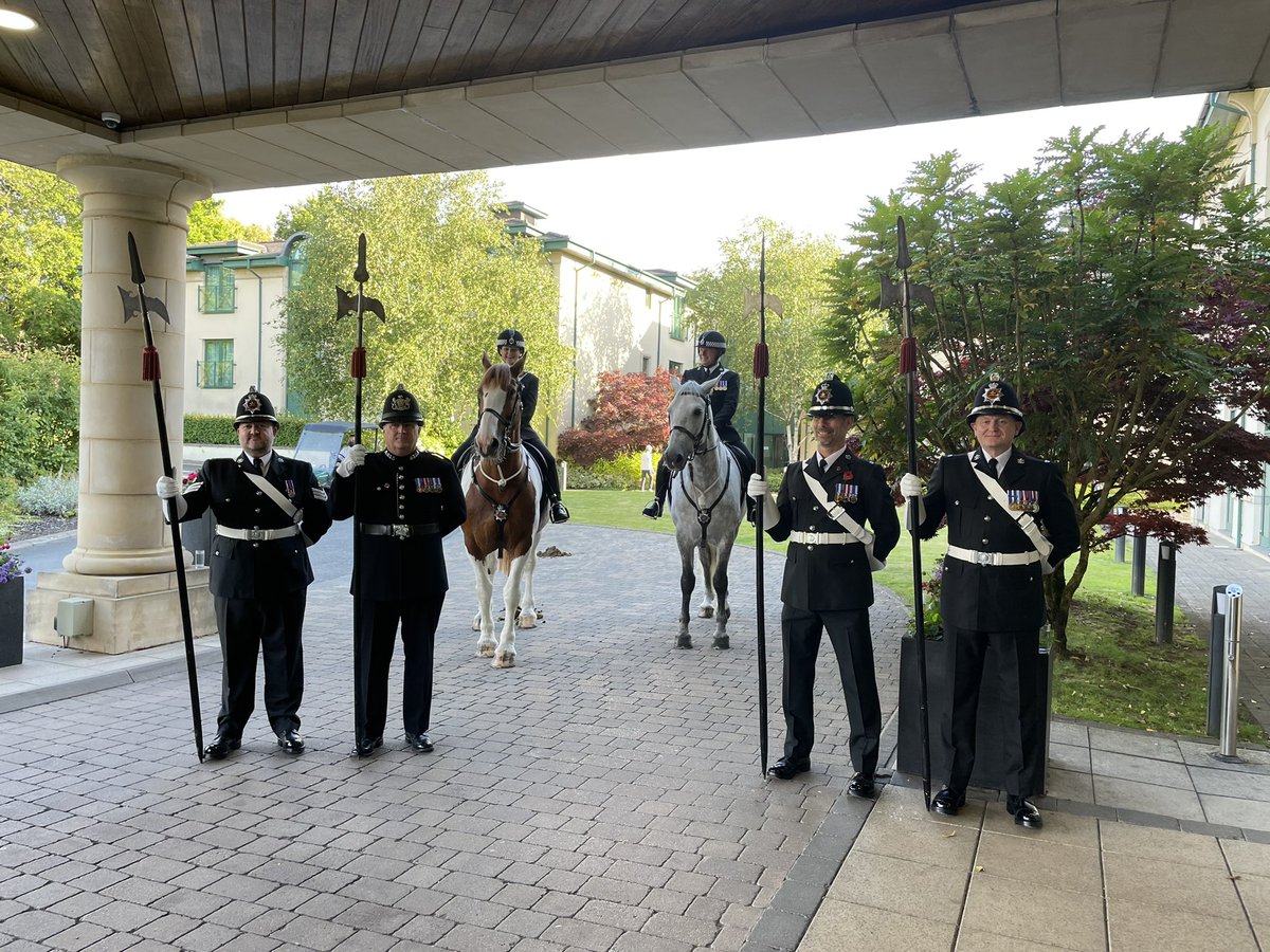 nikki brain tweet media