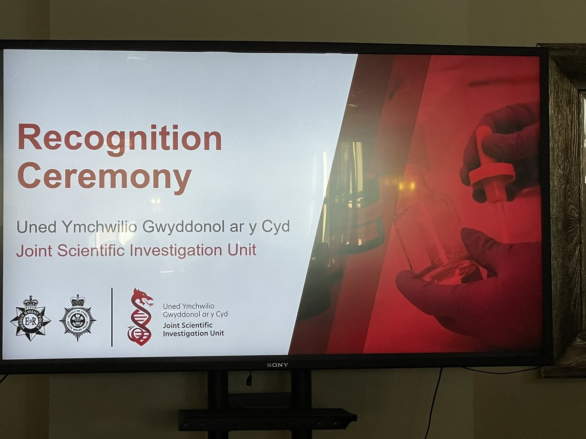 nikki brain tweet media