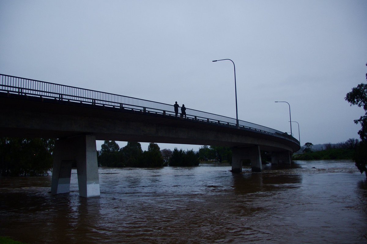 Bindi Bryce tweet media