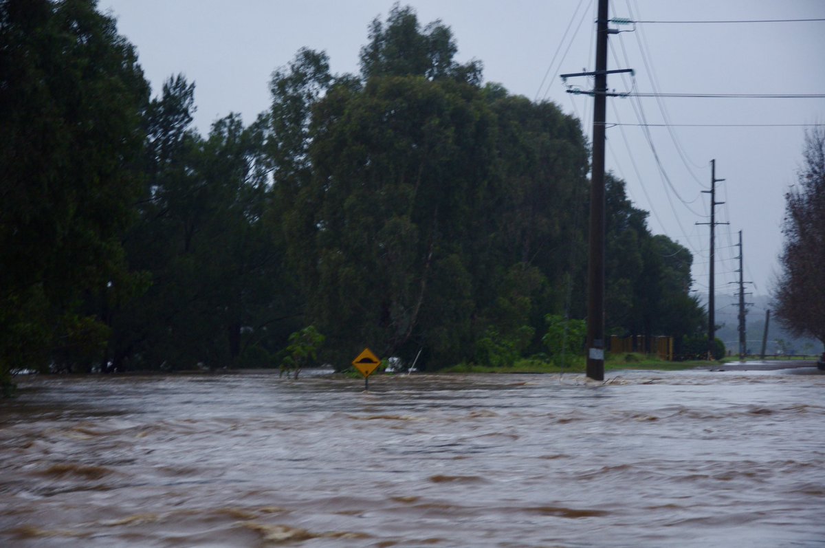 Bindi Bryce tweet media