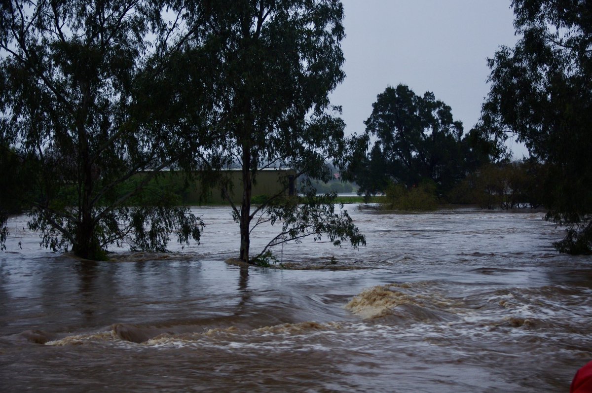 Bindi Bryce tweet media