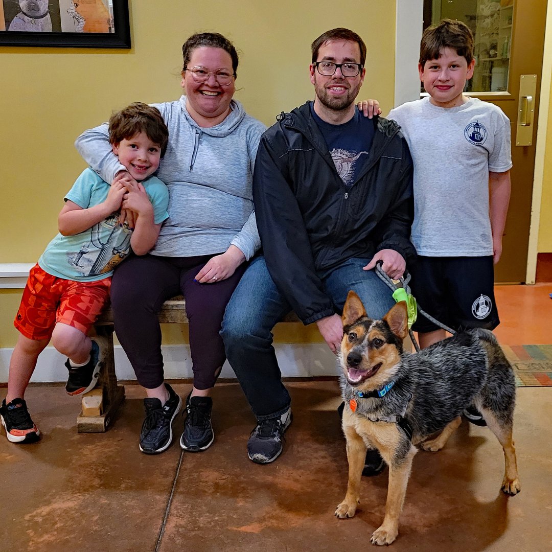 HARTforAnimals's tweet image. Vesta's New Family
A wonderful family looking to welcome a new dog into their home found just who they were looking for in Vesta. We couldn’t be happier for Vesta and are elated that she’s found such a great family to have in her life! #rescuedog  #adoptdontshop #deepcreeklakemd
