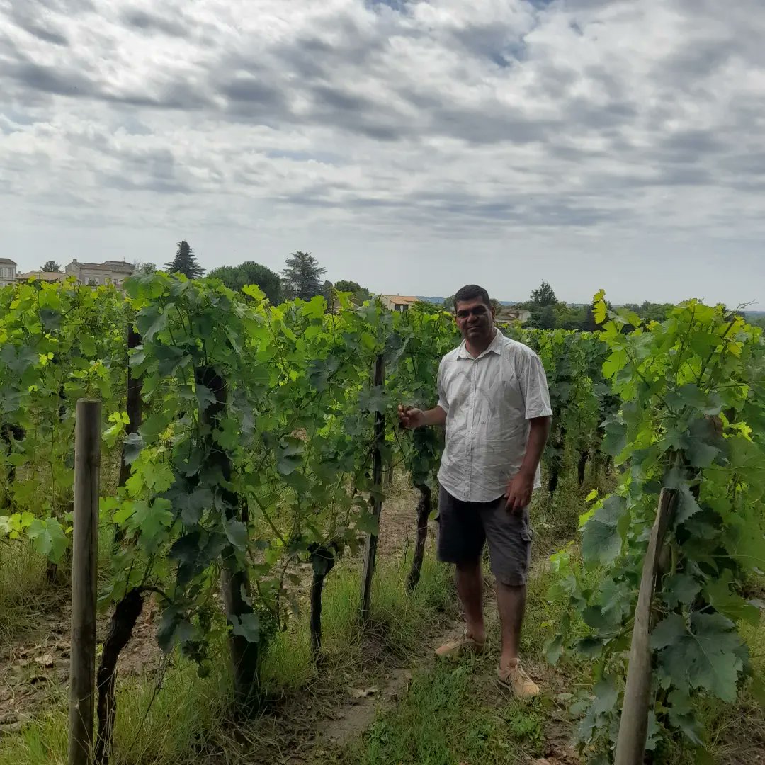Dia de enoturismo no @chateaudeladauphine 
#enoturismo #chateaudeladauphine # bordeaux #frança #france #vinho #vin #vino #wine #instawine #instavinho #instavin #instavino #winelover #winelovers #vivaryemporio