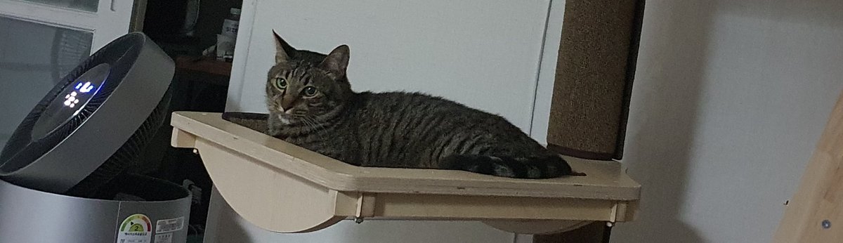 오랜만에 권로이 새침한 모습
퇴사해서 집에만 있는 엄마 모습이 의아함