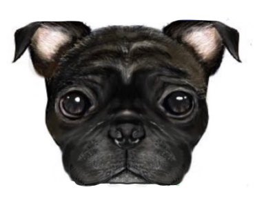 黒パグのtwitterイラスト検索結果 黒パグのtwitterイラスト検索結果