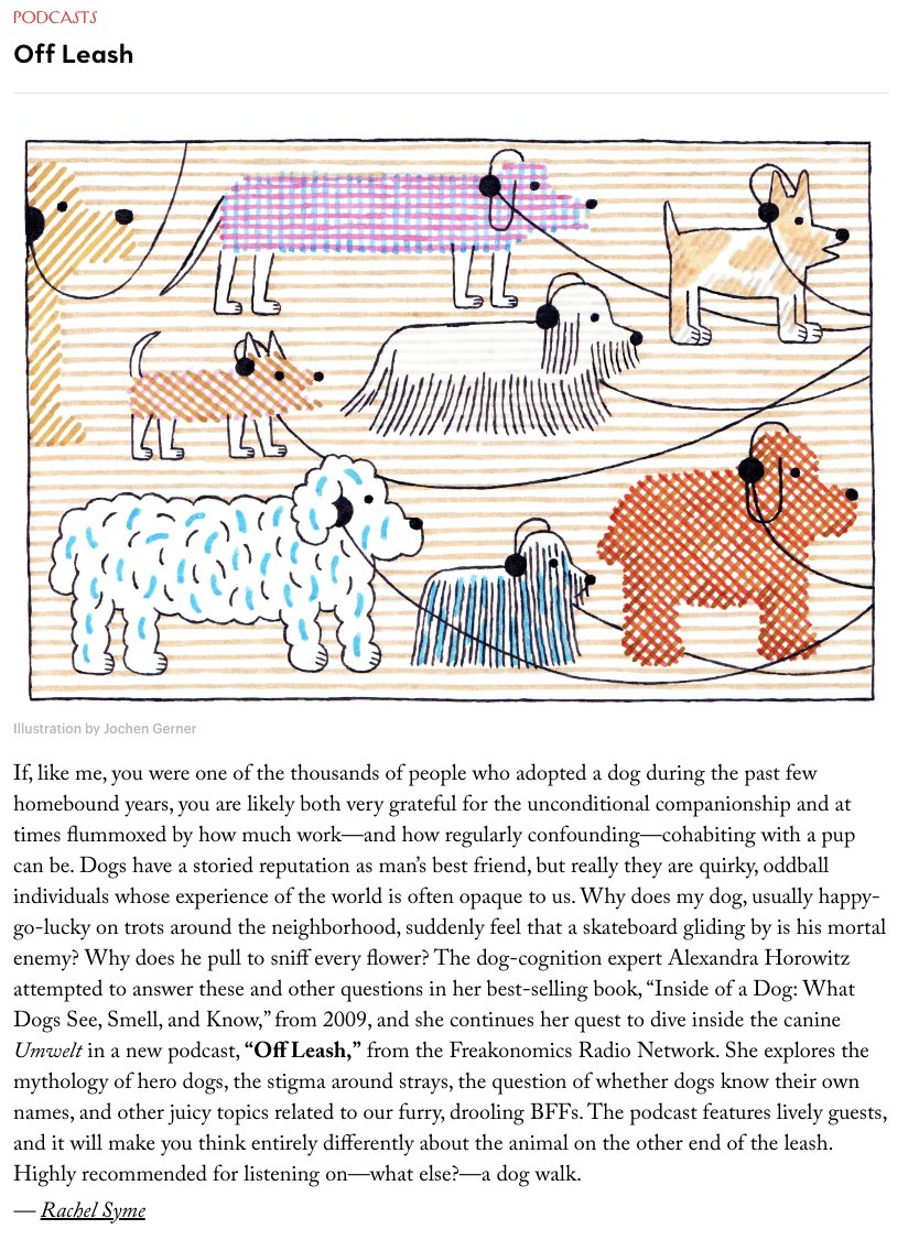 DogUmwelt's tweet photo. thrilling that "Off Leash" got a listen from @NewYorker. thank you, @rachsyme, and I hope to meet your pup

https://t.co/NR6CYyWdKK https://t.co/t8cvzoBjxj