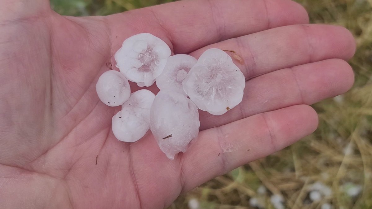 Tony Laubach (@tonylaubach) on Twitter photo Hail up to 1" on the east side of Strausburg, CO on CO-36 measured post-storm. <a href="/NWSBoulder/">NWS Boulder</a> #cowx Hail up to 1" on the east side of Strausburg, CO on CO-36 measured post-storm. <a href="/NWSBoulder/">NWS Boulder</a> #cowx
