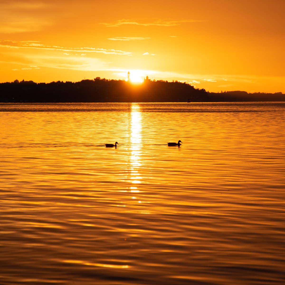 sdremthix's tweet photo. 'Passage of Time' - 🌇📷📸
The July sun has that unique color spectrum that one can immediately associate it to that month. It makes for taking beautiful photographs effortlessly.
#july #julysummer #julysun #sunsetoftheday #sunset  #nikonphotography #nikonsrbija #srbijauslikama https://t.co/4bT58TLDdw