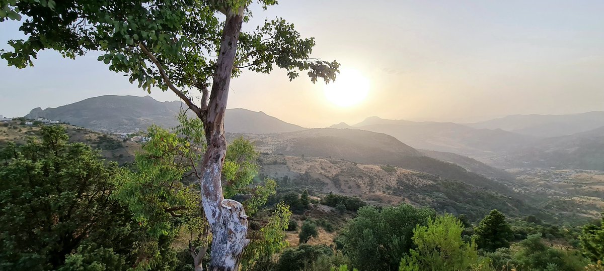 wolverine951's tweet photo. At-Wartilane, Villages de la Wilaya de Sétif

Avec des températures avoisinant les 45° et des vent Frais pouvant atteindre les 25° ,

Ce Climat Sec en fait un Lieu idéal pour de la Randonnée👨‍🦯 , de la Méditation 🙏
Et pour d'autres le repos de l'âme et du corps 💞 https://t.co/kSwESHnpRX