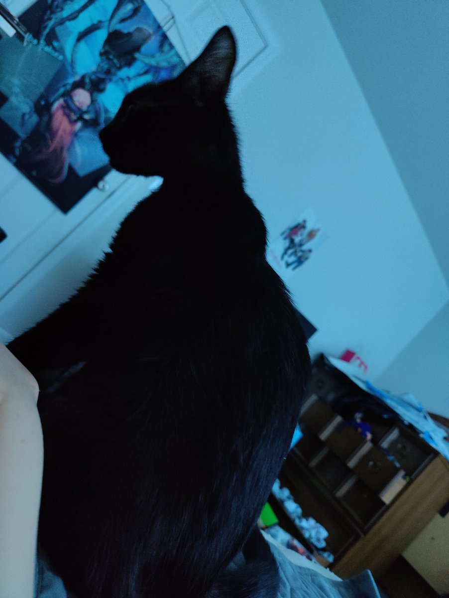 RedFrame4's tweet image. Finally home with my baby