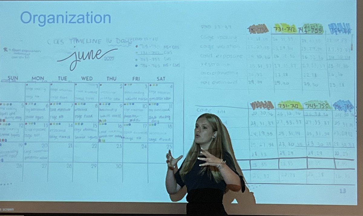 QUIP_RS's tweet photo. Hannah Jack, behavioral neuroscience major and 2022 QUIP-RS fellow, shared the rigorous schedule of treatments that groups of rats are undergoing. She and Dr. Adrienne Betz are studying the anxiety, learning &amp; memory deficits among adolescent rats. https://t.co/HX6GaGyDyY