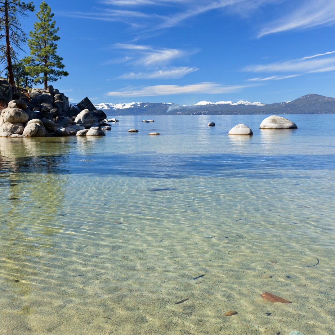 ahaairlines's tweet photo. ✈️ Idaho Falls Roundtrip Giveaway 🙌 Enter for the chance to win FOUR (4) ROUNDTRIP TICKETS on aha! Airlines between @IFlyIDA (IDA) and @RenoAirport  (RNO). 

Sign up here: https://t.co/M7sP3vJqpn

Enter by 11:59 PM PDT July 17, 2022. https://t.co/kYwe9YxKC7