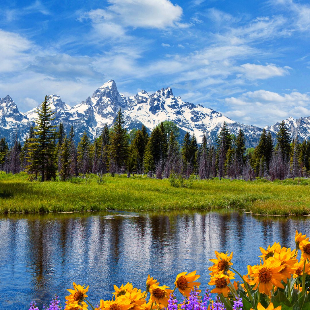 aha! (@ahaairlines) on Twitter photo ✈️ Idaho Falls Roundtrip Giveaway 🙌 Enter for the chance to win FOUR (4) ROUNDTRIP TICKETS on aha! Airlines between <a href="/IFlyIDA/">Idaho Falls Regional Airport</a> (IDA) and <a href="/RenoAirport/">Reno-Tahoe Int’l Airport</a> (RNO).
Sign up here: bit.ly/3nNpbac
Enter by 11:59 PM PDT July 17, 2022. ✈️ Idaho Falls Roundtrip Giveaway 🙌 Enter for the chance to win FOUR (4) ROUNDTRIP TICKETS on aha! Airlines between <a href="/IFlyIDA/">Idaho Falls Regional Airport</a> (IDA) and <a href="/RenoAirport/">Reno-Tahoe Int’l Airport</a> (RNO).
Sign up here: bit.ly/3nNpbac
Enter by 11:59 PM PDT July 17, 2022.