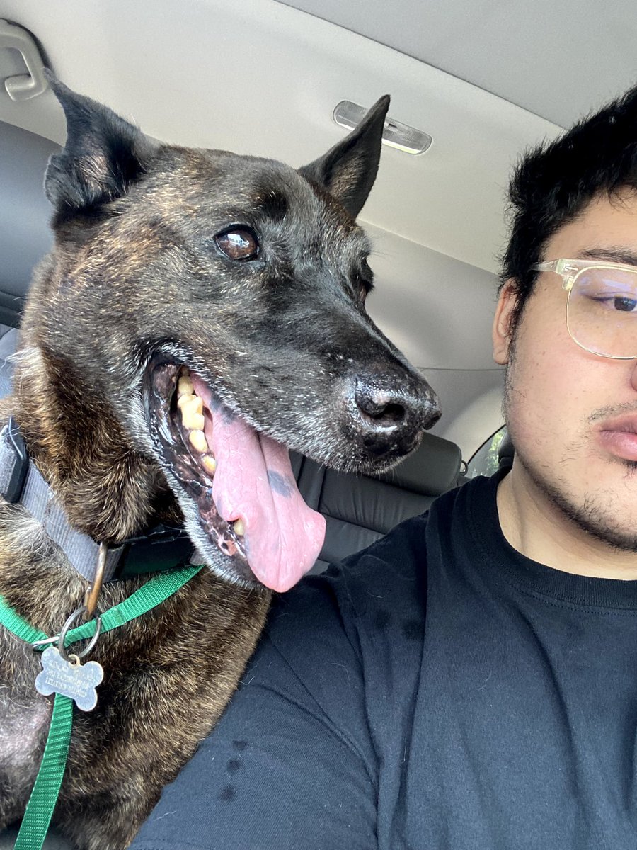 Big1son's tweet photo. 3 months ago you lost your brother and today you finally get to see him again. I love you rocky. https://t.co/r1W2kSafCY