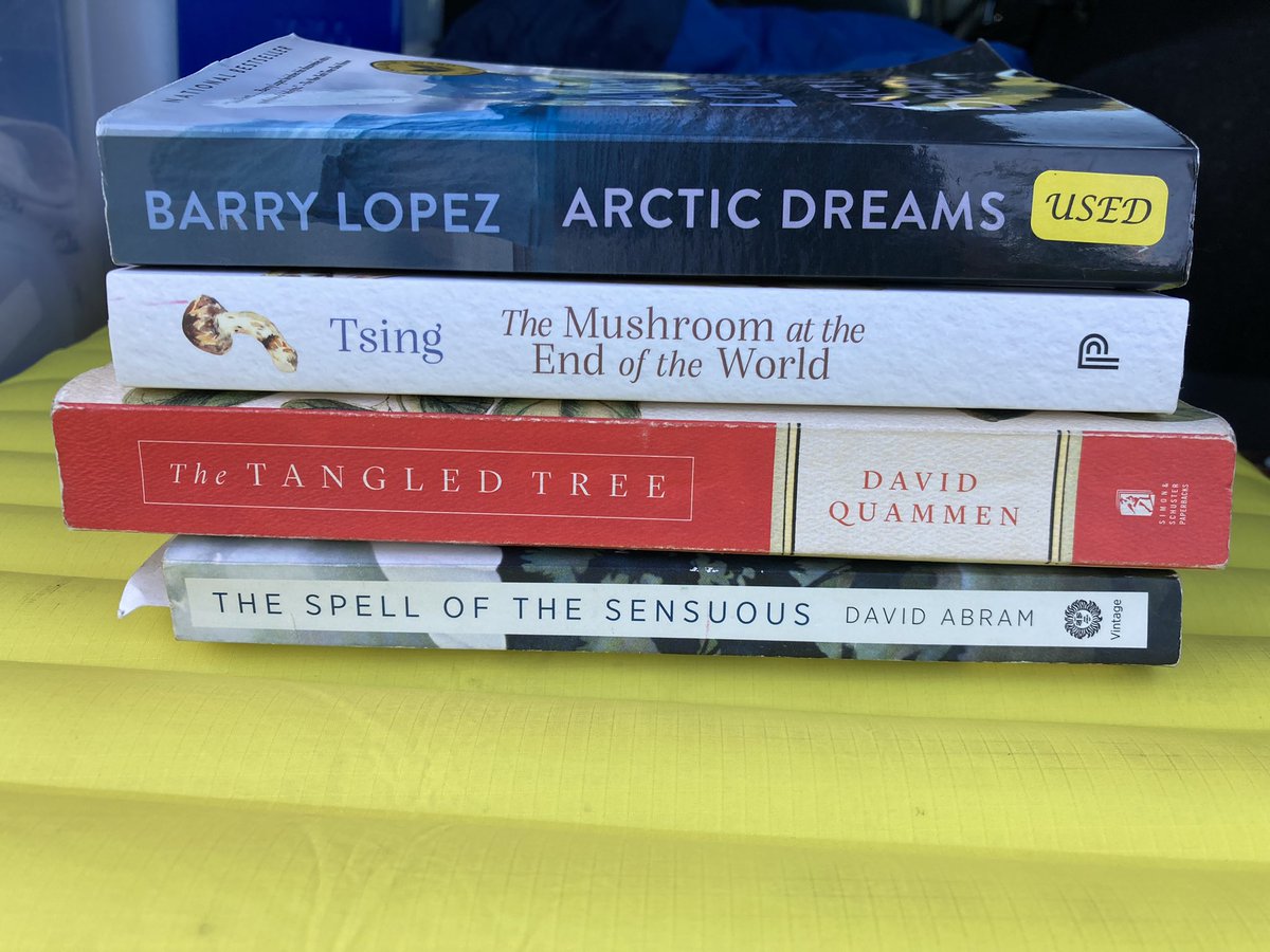 Frankie Gerraty tweet media