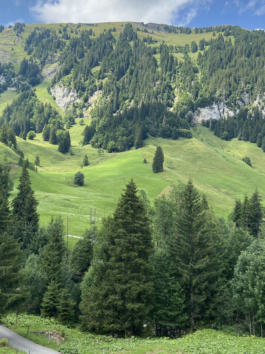 Bergen utanför Luzern.