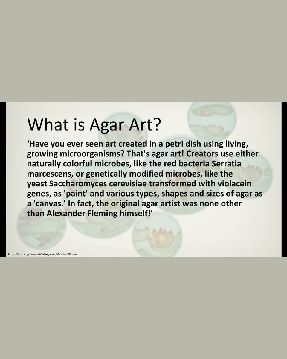 JOG_Art&Design tweet media