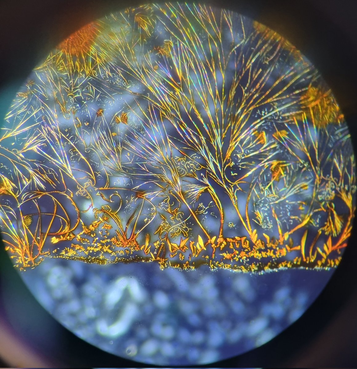 Timothy Easun tweet media