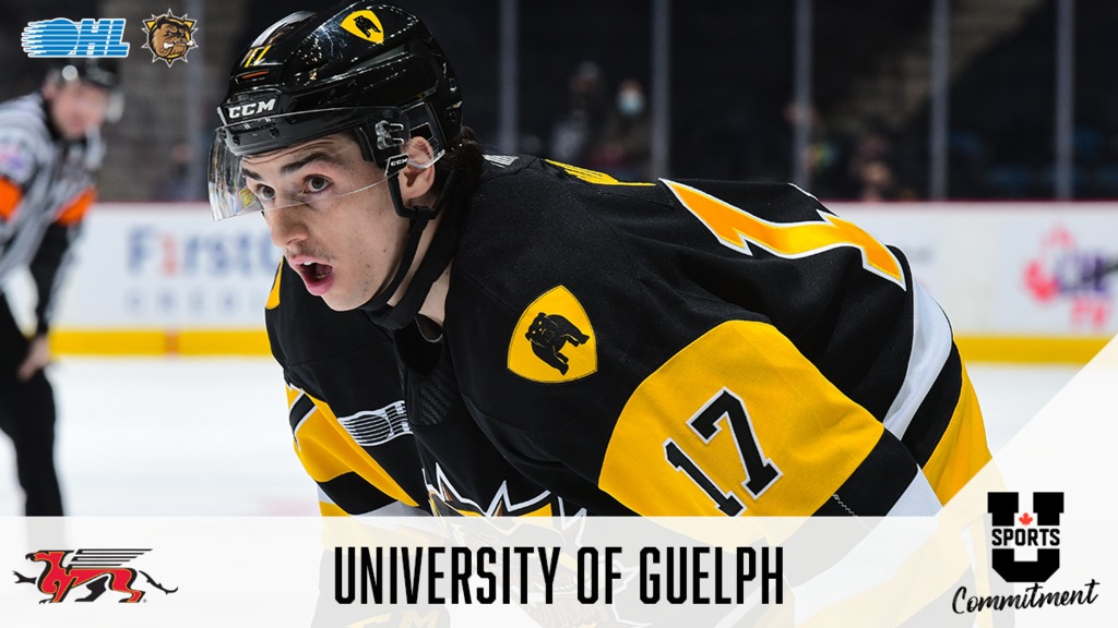 OHLHockey's tweet image. Nineteen-year-old forward Giordano Biondi has committed to @gryphonsmhky for the 2022-23 season upon graduating from the #OHL champion @BulldogsOHL.

DETAILS 📰: bit.ly/3OMSbLh
