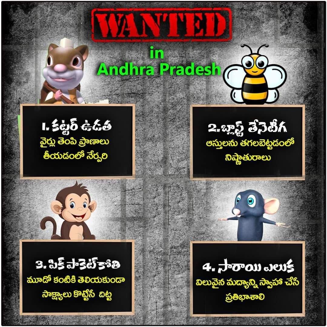 RebellionTweet's tweet photo. #APWantsToKnow https://t.co/7GRVrvnNg8